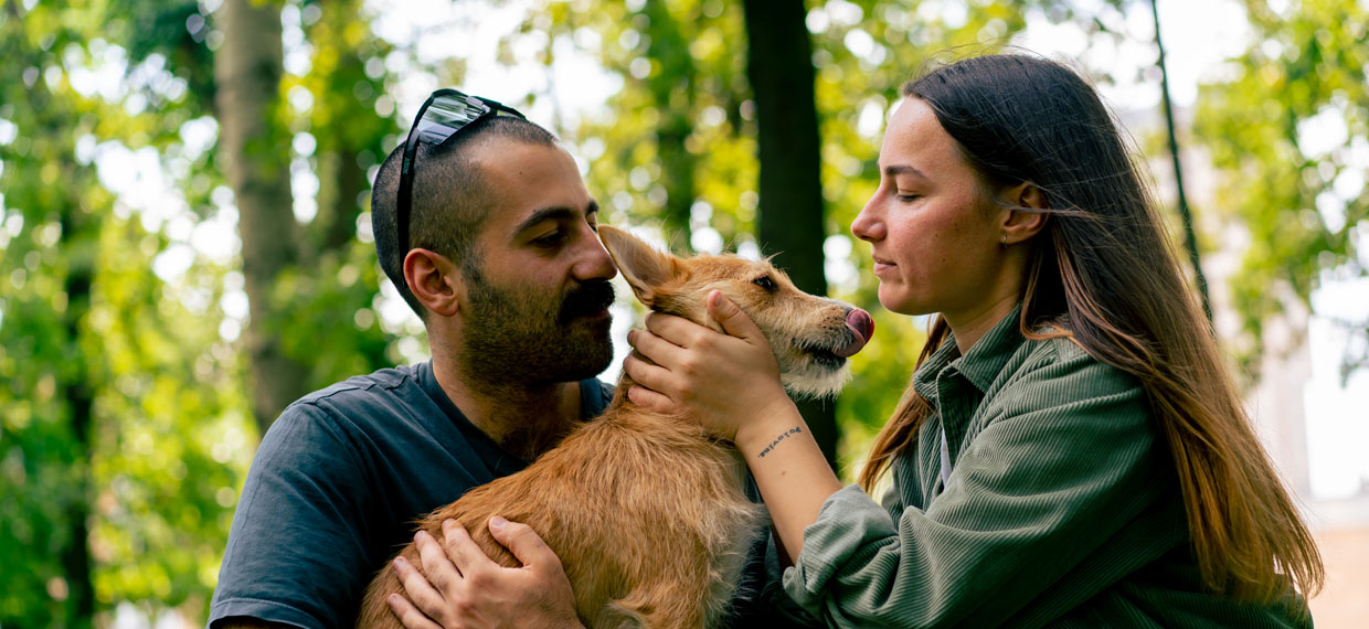 ¿Qué hacer si tu mascota se pierde? Guía rápida para actuar con inteligencia ¿Qué hacer si tu mascota se pierde? Guía rápida para actuar con inteligencia